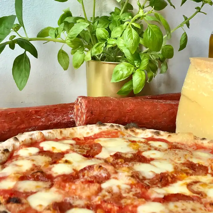 Pizza między doniczkami bazylii, salami i kawałkiem sera